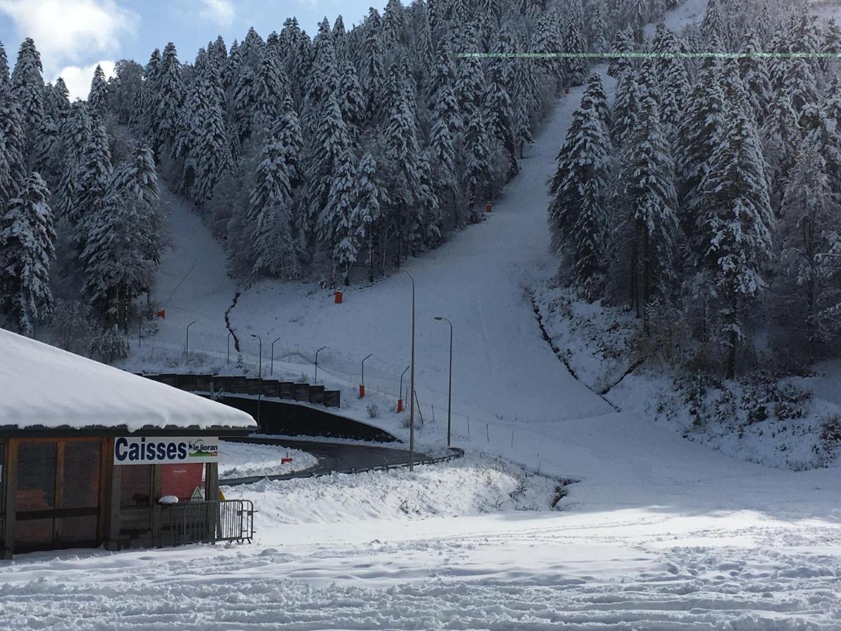 Le Lioran Studio les Myrtilles à 200m des pistes Extérieur photo