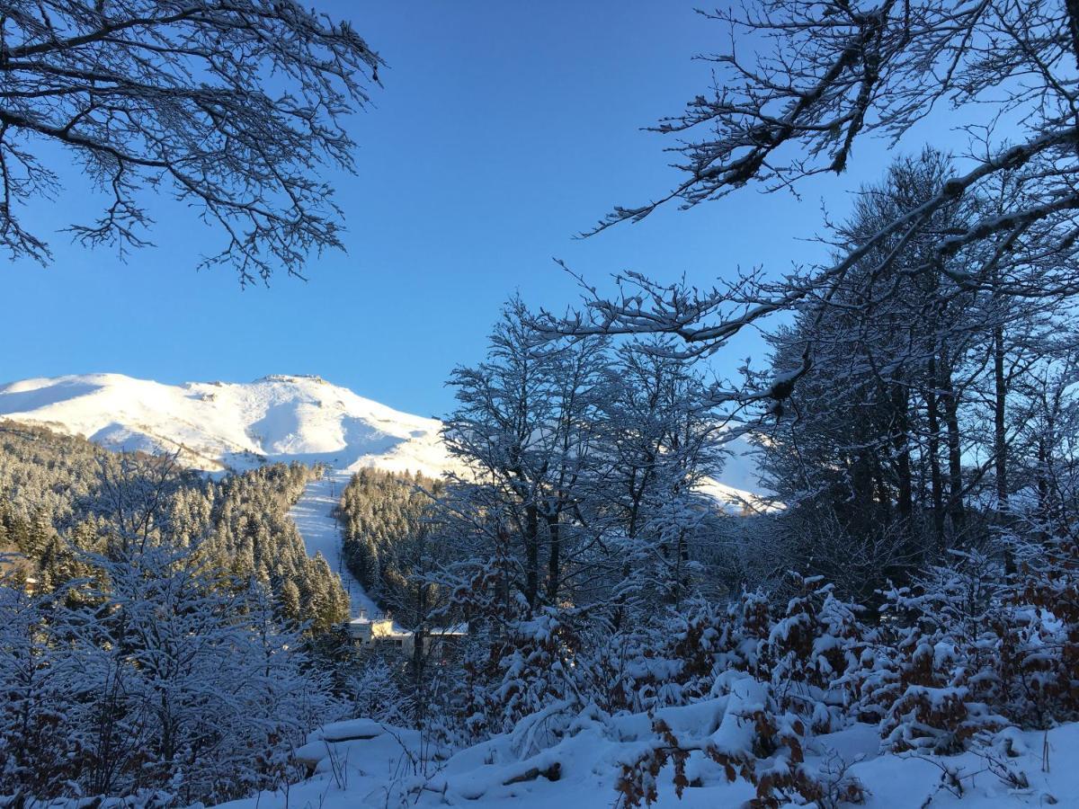 Le Lioran Studio les Myrtilles à 200m des pistes Extérieur photo
