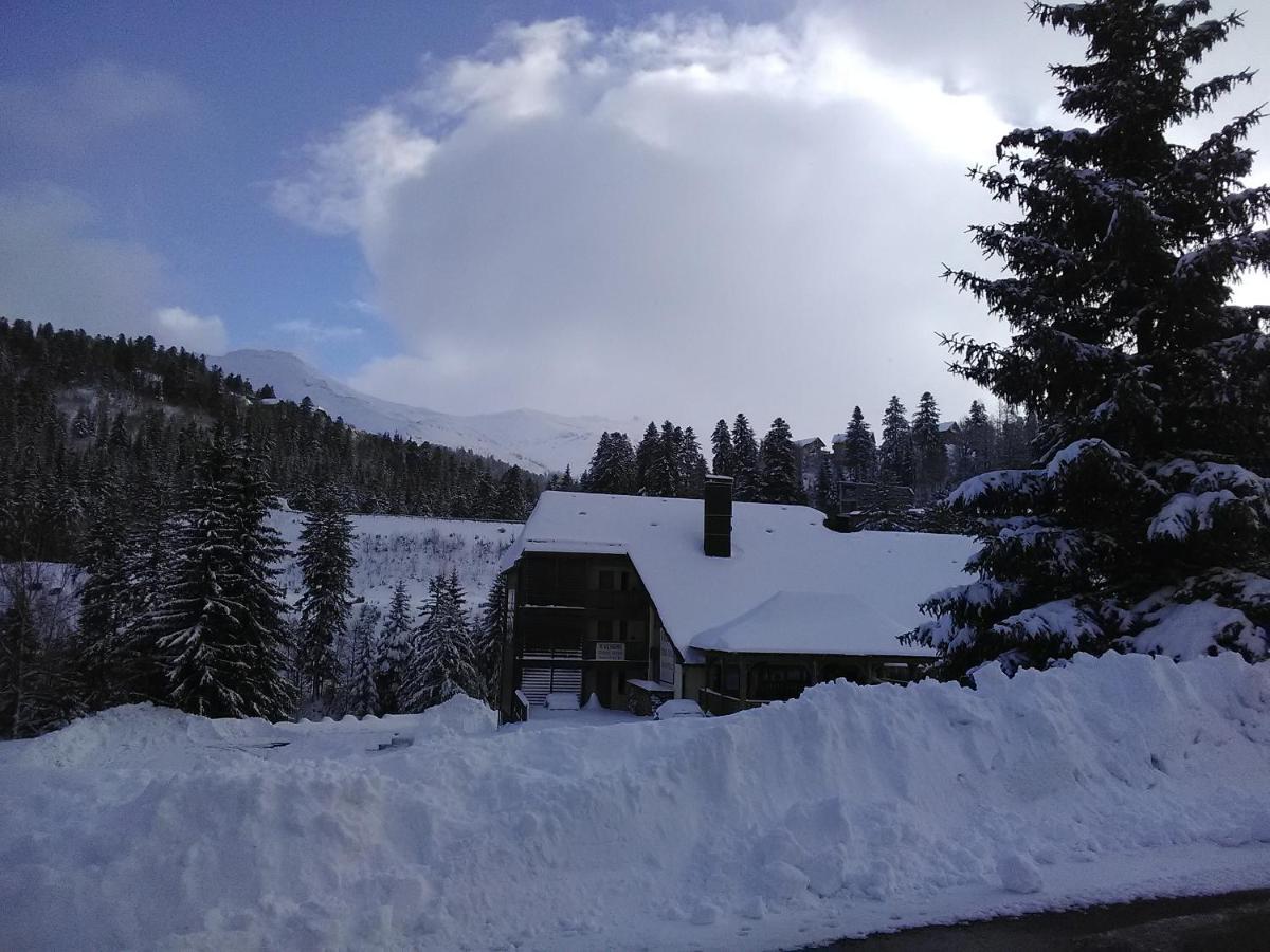 Le Lioran Studio les Myrtilles à 200m des pistes Extérieur photo